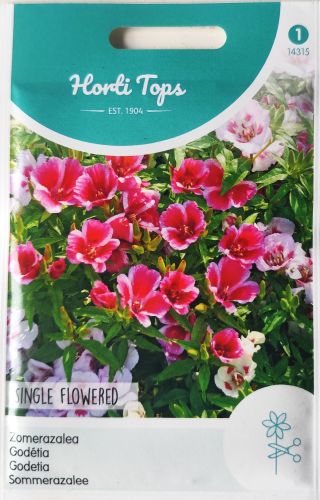 Godetia Single Flowered Mixed Seeds